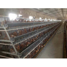 Hot Sale Galvanized Chicken Cage Certificate of ISO9001